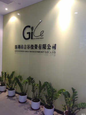 深圳市吉谷投资 专业金融中介服务的领航者